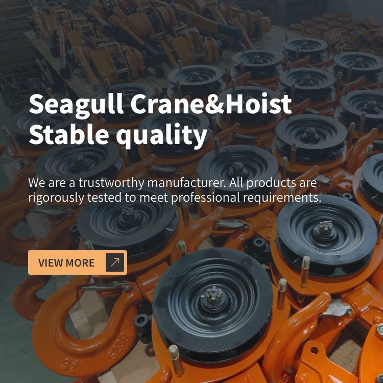 Seagull Crane&Hoist