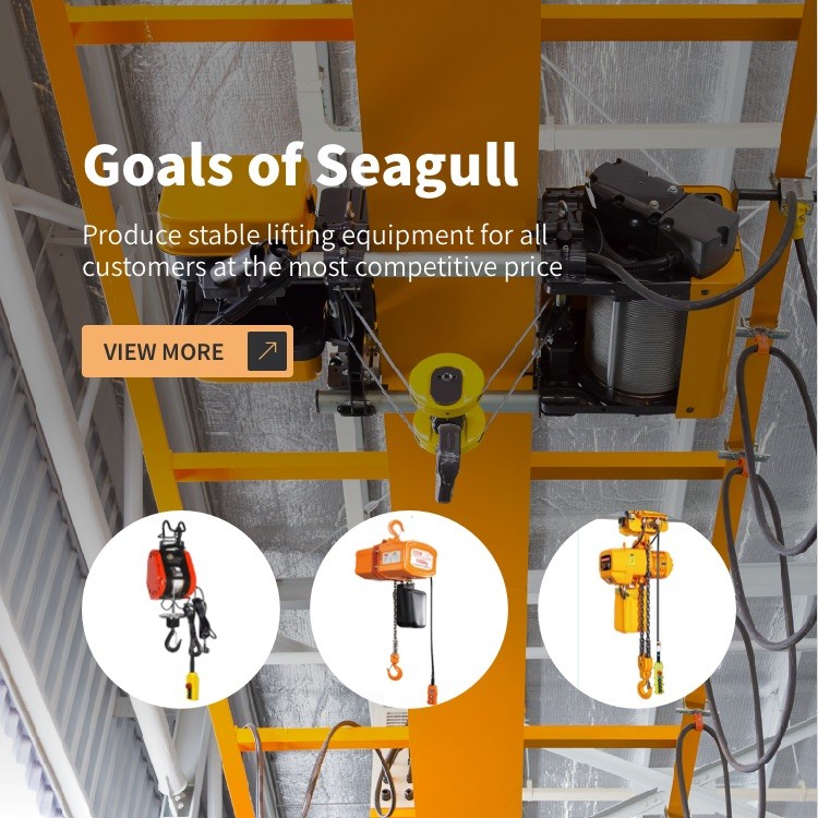 Goals of Seagull